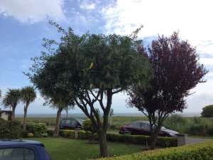 Wavecrest-04-Sea-View